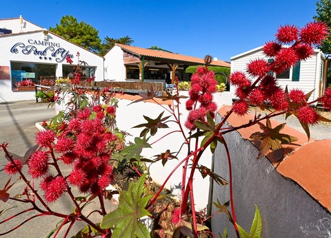 Camping Le Pont D'yeu, 3* - 9