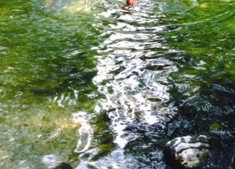 Camping Sites et Paysages - Les Pinèdes, 4* - 46