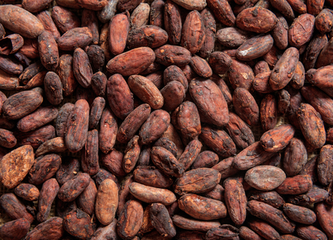 Circuit Guatemala, Sur la Piste du Quetzal et Belize - 17