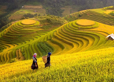 Circuit Le Vietnam, Dubaï et Abu Dhabi - 7