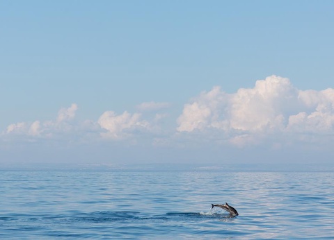 Hôtel Calanè Resort 4* - 14