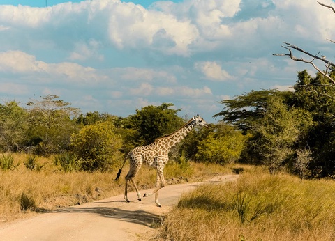 Combiné Ôclub Select SBH Monica Zanzibar 5* et Safari 2 nuits - 3