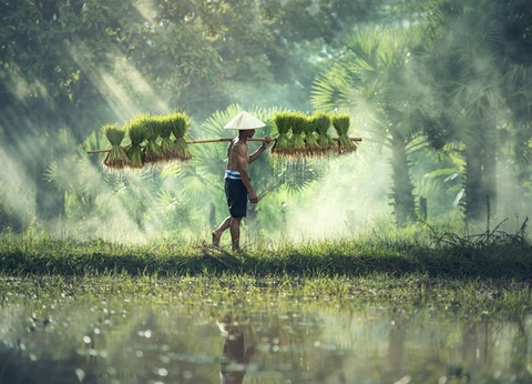 Circuit Grand tour de Thaïlande et plage à Phuket 4* - 13