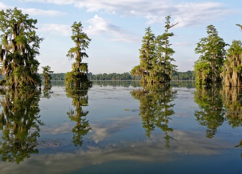 Circuit Coeur de Louisiane, entre Bayous et Plantations - 8