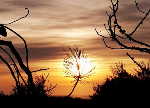 Camping Au Pigeonnier, 4* - 25