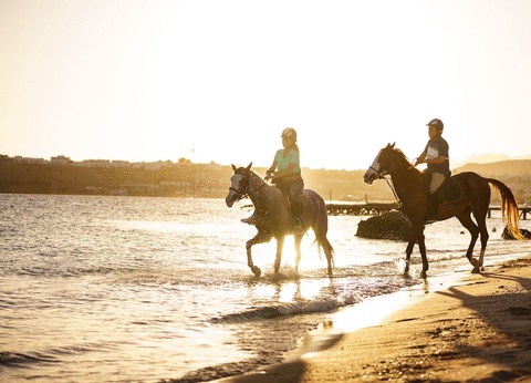 Hôtel Mövenpick Resort Sharm El Sheikh - 73