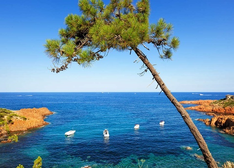 ÉVadez-vous sur la Côte d'Azur à deux pas de Cannes (jusqu'à 6 personnes) - 3* - 11