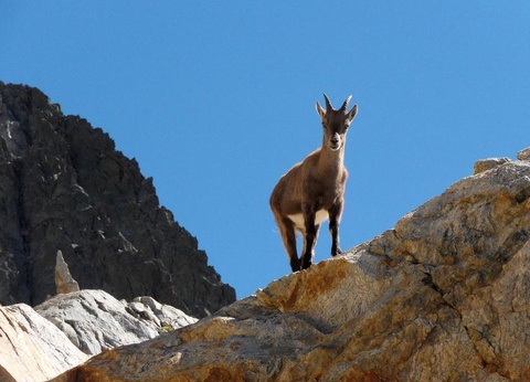 Camping Alpes Dauphine, 4* - 39