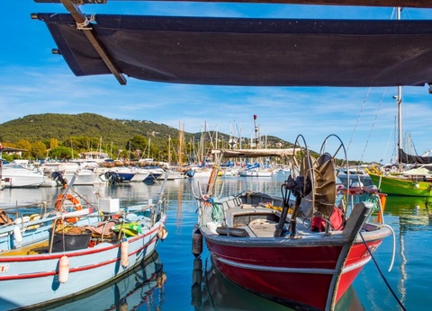 Camping Hameau des Pins 3* - 34