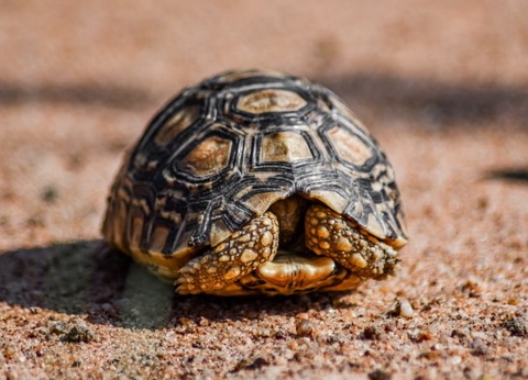 Circuit Les Oasis du Sénégal - 22