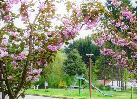 Camping La Chanterelle, 3* - 7