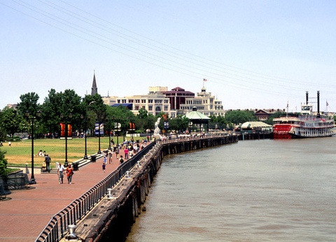 Circuit Coeur de Louisiane, entre Bayous et Plantations - 6