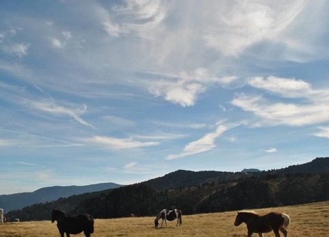 Camping du Lac, 4* - 42