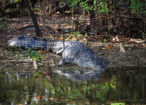 CIRCUIT LA GRANDE TRAVERSEE DE L'AUSTRALIE - 4