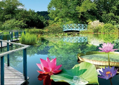 Camping Lac de Groléjac, 3* - 70