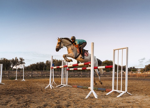 Hôtel Sentido Phenicia 4* - 23