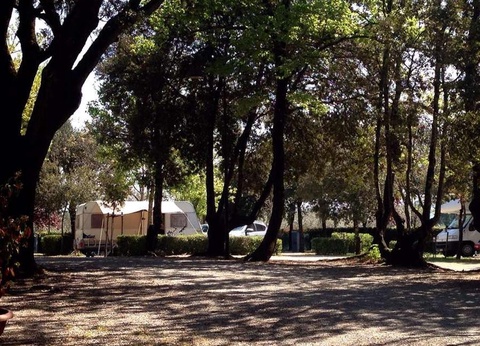 Camping Boschetto di Piemma, 3* - 19