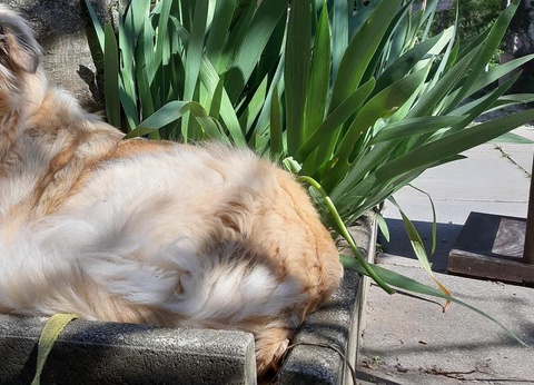 Camping Ushuaïa Villages Le Viaduc, 3* - 49