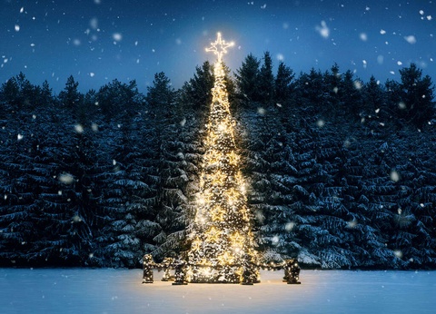 Découvrez le quartier de la Petite France avec une croisière à Strasbourg - 4* - 13