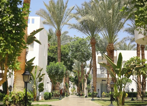 Hôtel Jaz Fanara Resort 4* - 25