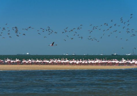 Splendeurs de Namibie et Séjour Chobe et Chutes Victoria 16J/13N - 10