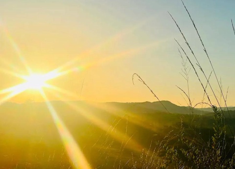 Flower Camping la Pibola, 3* - 10