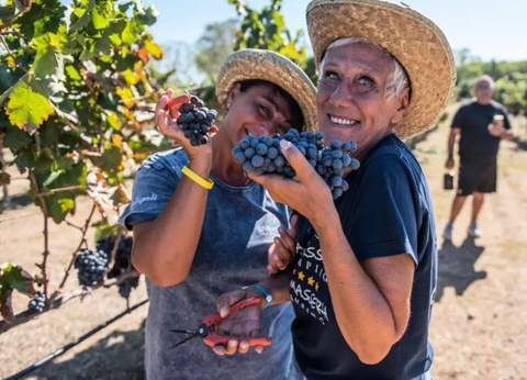 Camping La Masseria, 4* - 52