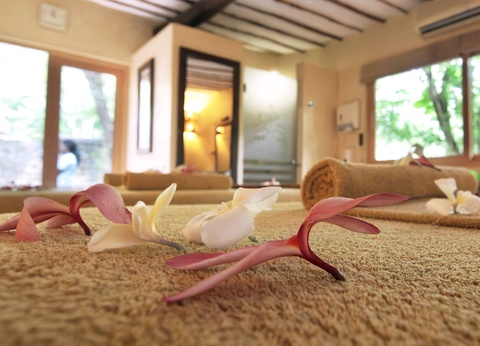 Hôtel Leopard Beach Resort 5* + Safari 2 nuits - 11