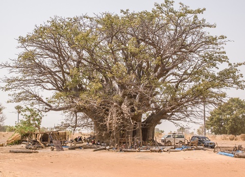 Circuit Privilège Sénégal en privatif - 33