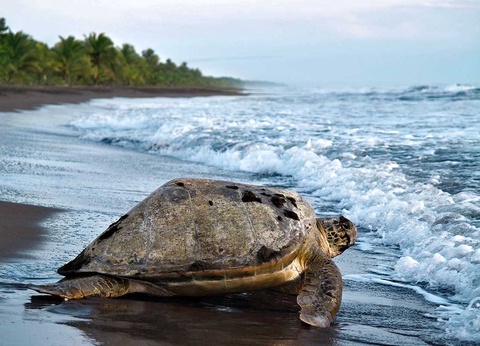 Circuit Découverte et aventure au Costa Rica - 8