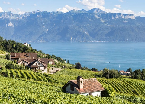 Week-end romantique près du lac Léman (parking offert) - 3* - 7