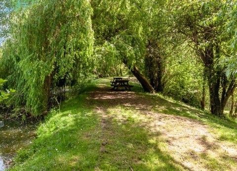 Camping les Etangs du Plessac 4* - 59