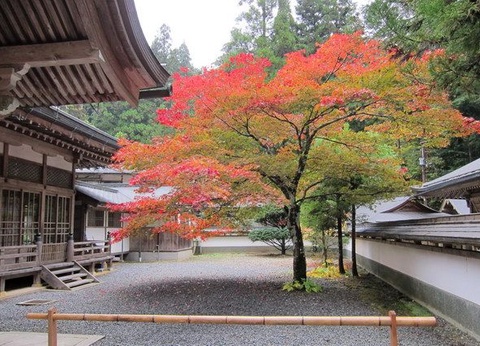 CIRCUIT LE JAPON EN LIBERTE ET NUIT ZEN A KOYASAN - 12