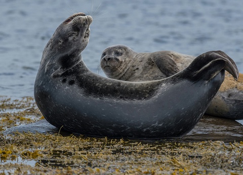 Circuit Estival Aventures en terres islandaises Islande - 6