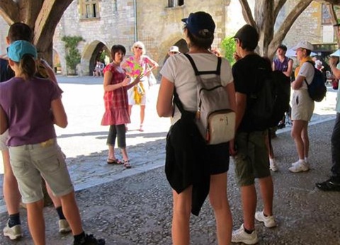 Camping Moulin de David 4* - 62