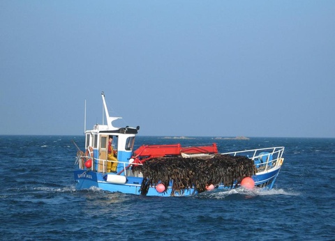 Camping Baie de Terenez 3* - 40