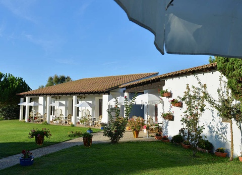 Séjour avec balade à cheval dans les paysages Camarguais - 3* - 8