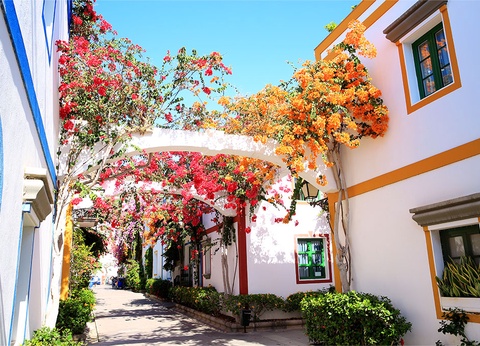 Hôtel LIVVO Fataga 4* by Ôvoyages - 8