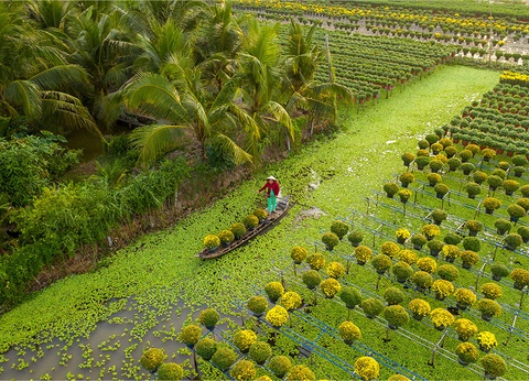 Fascinant Mekong 9 nuits - 12