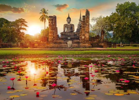 Circuit Orchidées, de Bangkok au Triangle d'Or - 6