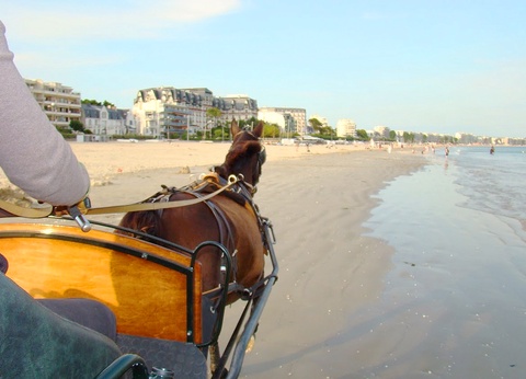 Camping Les Ajoncs d'Or 4* - 20