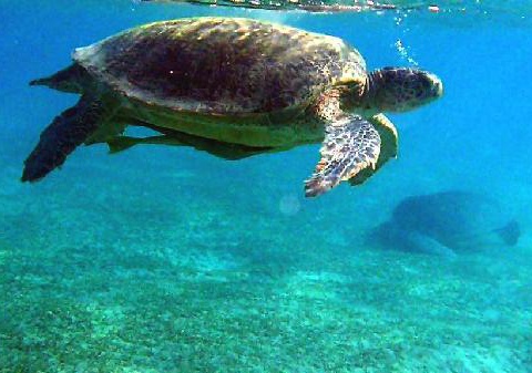 Hôtel Utopia Beach Club 4* - 5