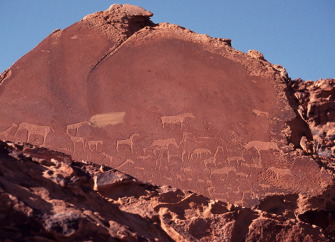Circuit Du Royaume des Animaux aux Sables du Kalahari **Version 2026** - 6