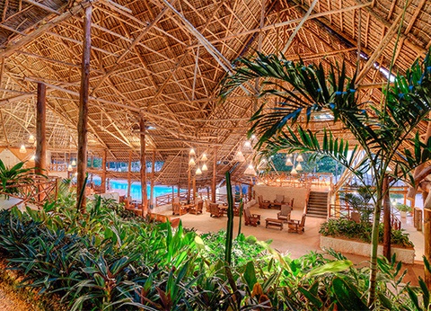 Hôtel Diamonds Mapenzi Beach 4* - 26