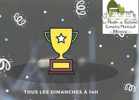 Camping Le Moulin De Bidounet, 3* - 53