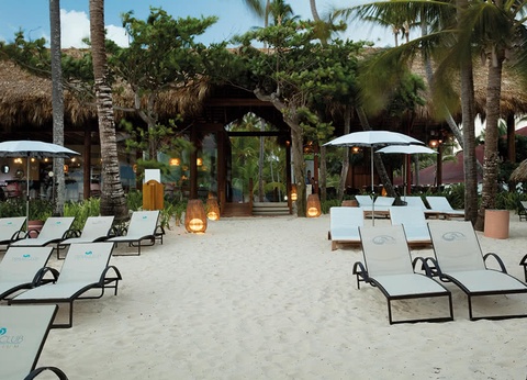 Hôtel Grand Palladium Punta Cana Resort & Spa 5* - 2