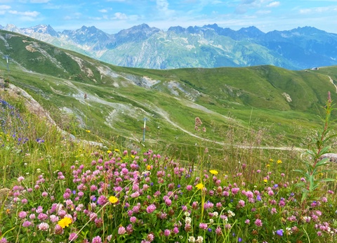 Résidence Les Terrasses du Corbier 3* - 7