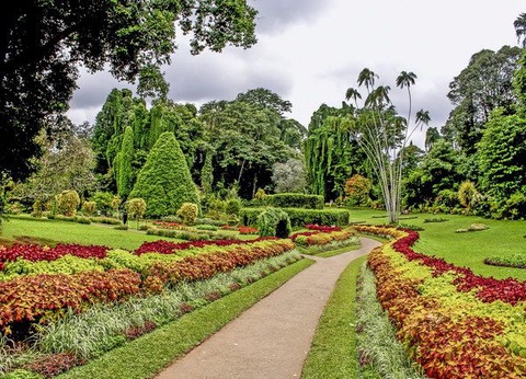 Circuit Carpe Diem au Sri Lanka - 11