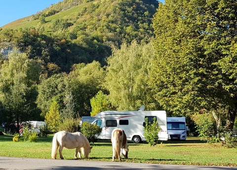 Camping La Forêt, 4* - 43