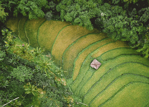 Circuit Au coeur du Laos - 20